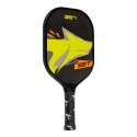 PICKLEBALL GERI ATTK